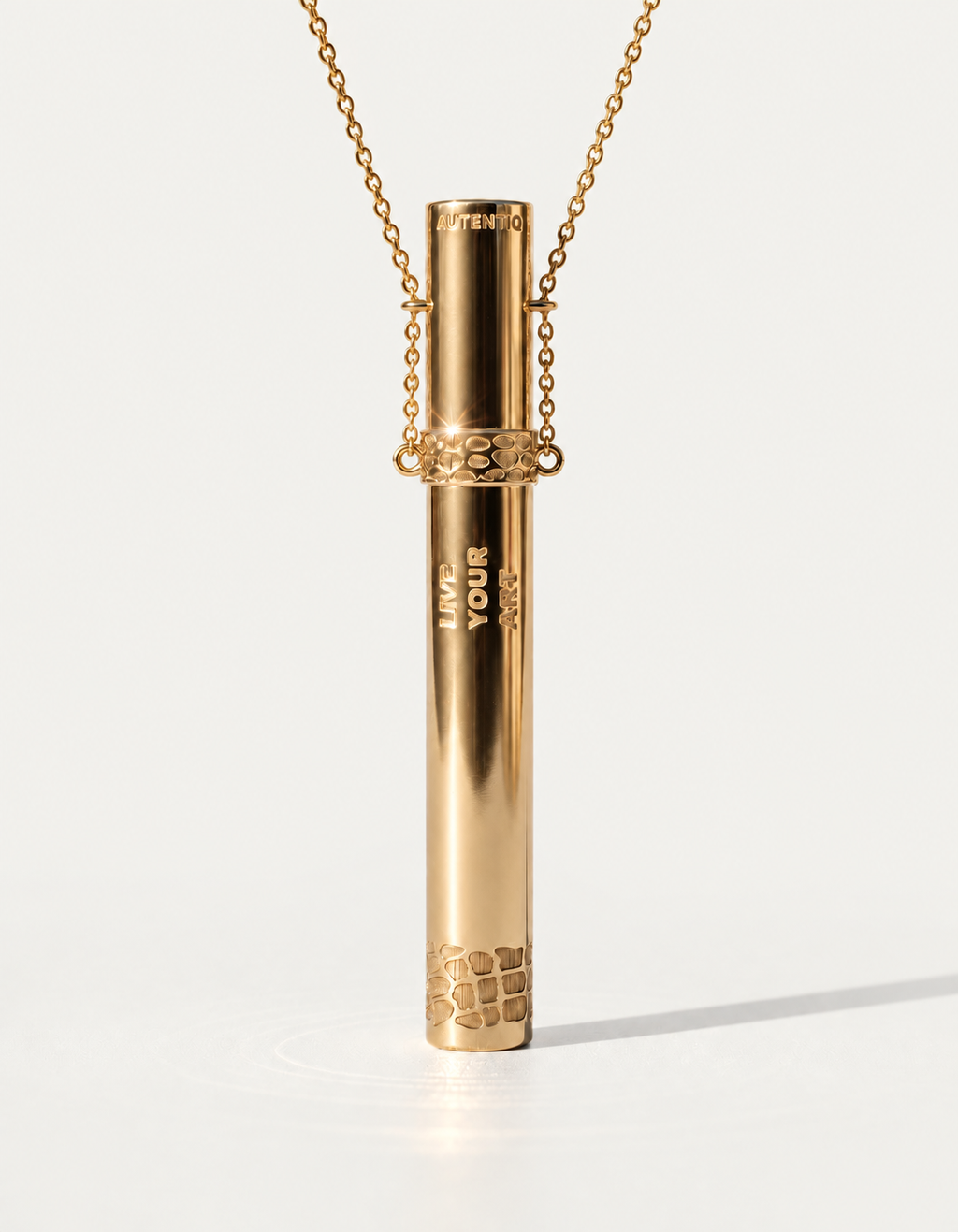 Сig case (brass + silver)