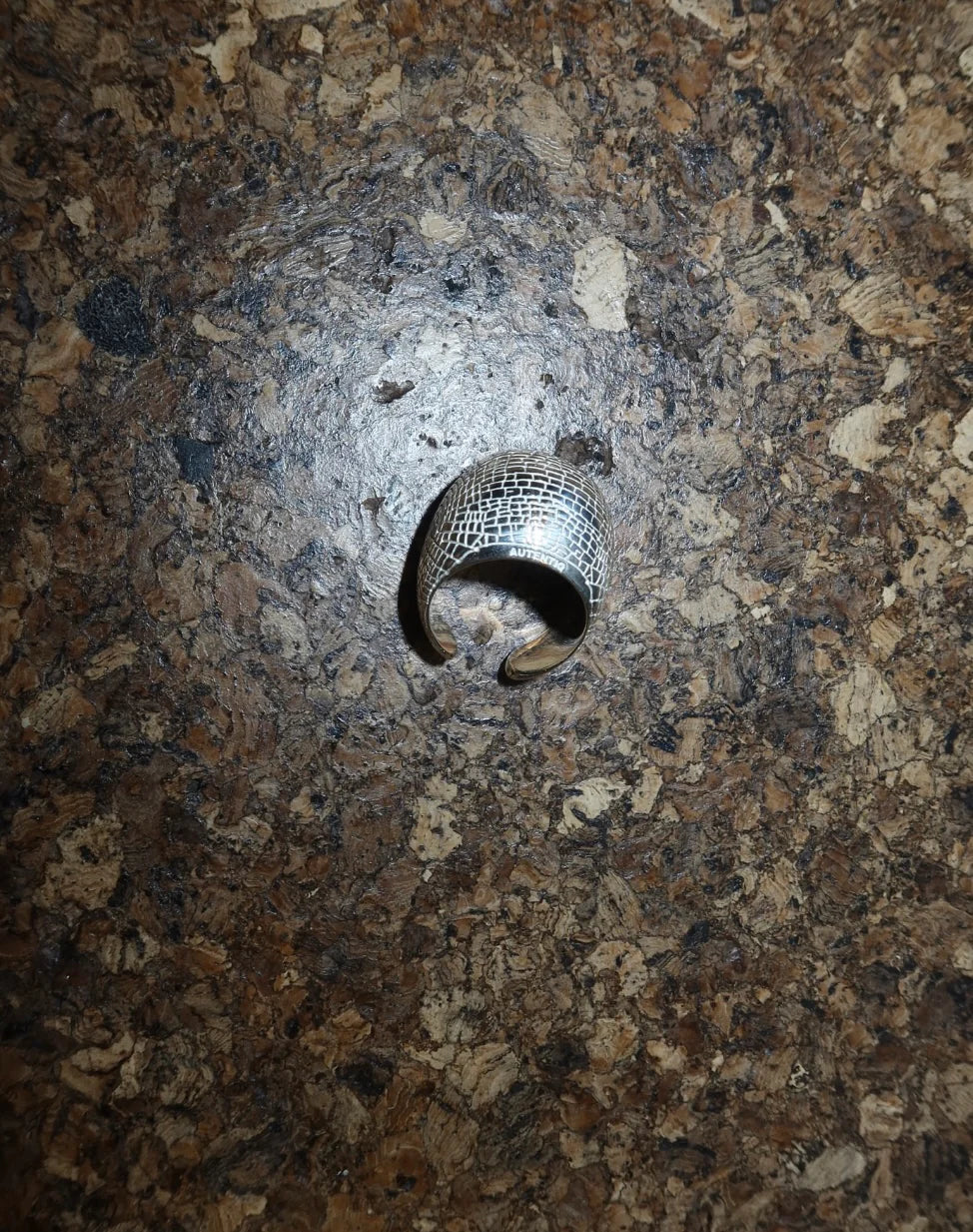 Ring Volition in silver