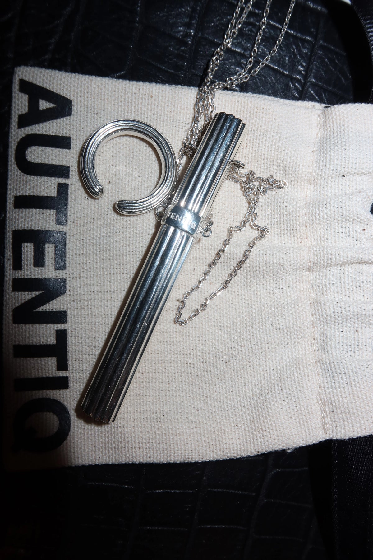 Sig case in silver