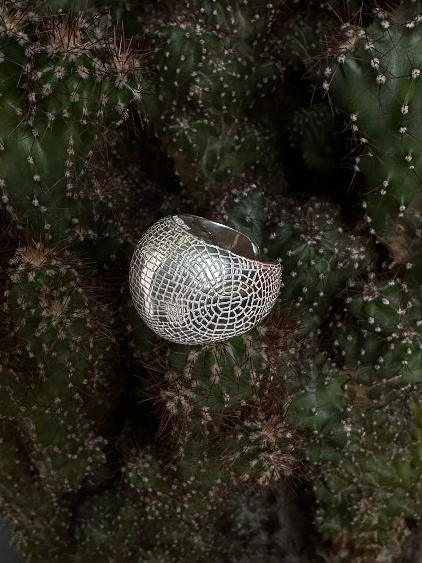 Ring Volition in silver